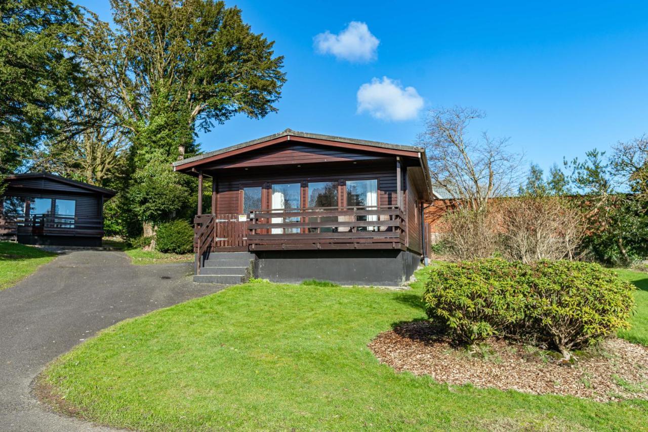 Bluebell Lodge 24 With Hot Tub Newton Stewart Exterior foto